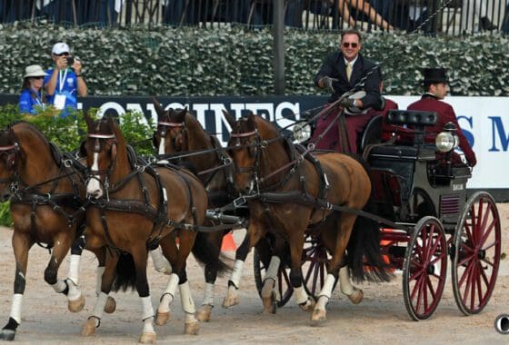 Ocala based Chester Weber Conquers the Cones, PC: Ann Glavan, Chronicle of the Horse