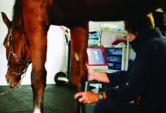 A veterinary surgeon undertakes an ultrasonic examination of a horse’s fetlock. Coombefield Veterinary Hospital, Summerleaze Farm, Axminster, Devon.