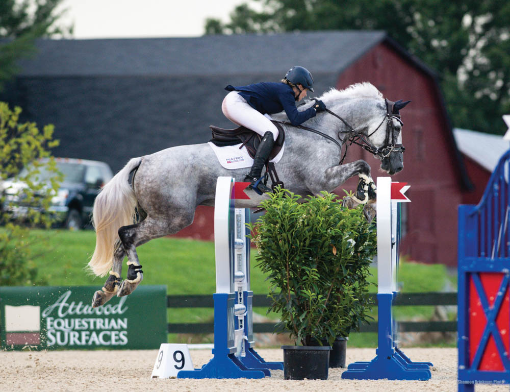 Cooley Quicksilver at Great Meadow International. PC: Shannon Brinkman